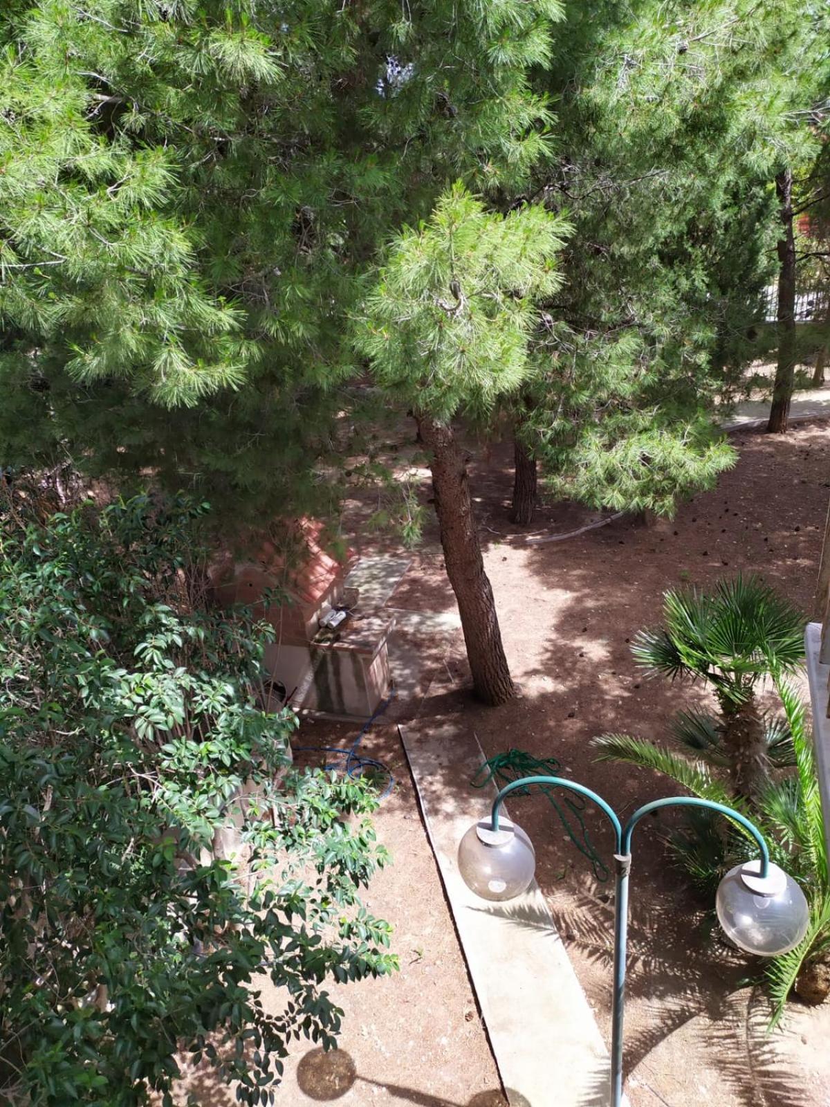 Terra Bianca Bed and Breakfast Trani Rum bild